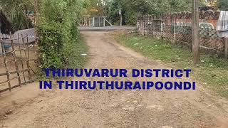  Residential Plot for Sale in Thiruthuraipoondi, Thiruvarur