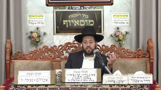 הרב שמואל יאיר | הלכות | (בית הכנסת מוסאיוף) - התמונה מוצגת ישירות מתוך אתר האינטרנט יוטיוב. זכויות היוצרים בתמונה שייכות ליוצרה. קישור קרדיט למקור התוכן נמצא בתוך דף הסרטון הרב שמואל יאיר | הלכות | (בית הכנסת מוסאיוף) - התמונה מוצגת ישירות מתוך אתר האינטרנט יוטיוב. זכויות היוצרים בתמונה שייכות ליוצרה. קישור קרדיט למקור התוכן נמצא בתוך דף הסרטון