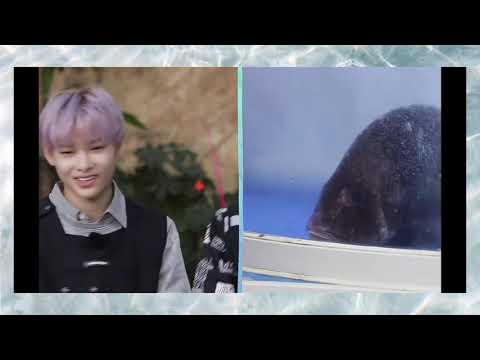 Sunoo's precious smile 💛