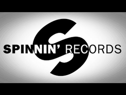 Top 10 Songs of Spinnin Records 2015