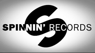 Top 10 Songs of Spinnin Records 2015