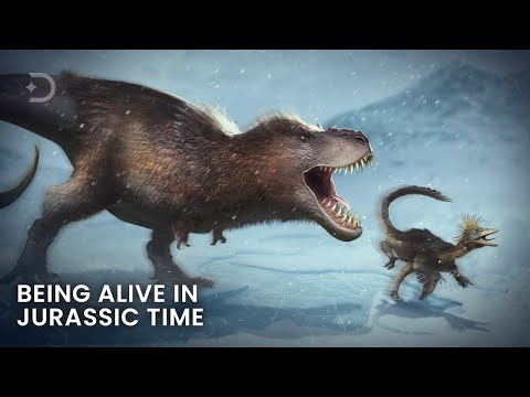 What If You Lived in the Jurassic Period?