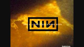 Nine Inch Nails - The Persistence Of Loss