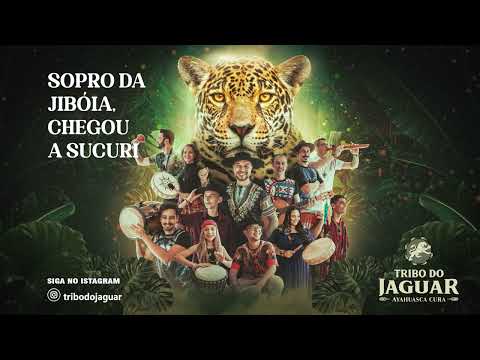 Sopro Da Jiboia Chegou A Sucuri - Tribo do Jaguar