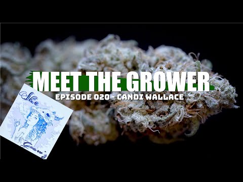 Meet the Grower Ep. 020 - Candi Wallace - Sponsored by Mars Hydro