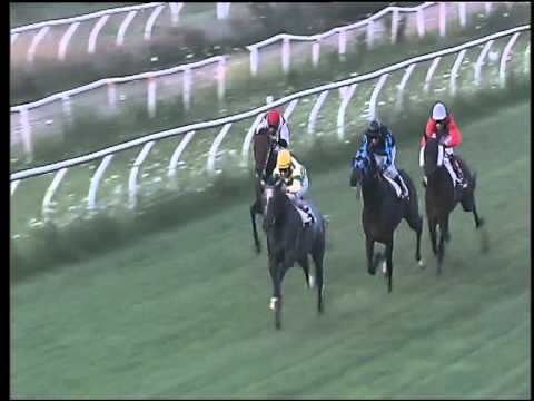 Galoppo 22/07/2015 - 3° corsa