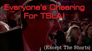 Everyone Is Cheering Tesla's TSLA Price (Except The Shorts) - Here's Y!