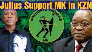 Download lagu Julius Malema Says they Will Support MK PARTY in KWAZULU-NATAL  mp3