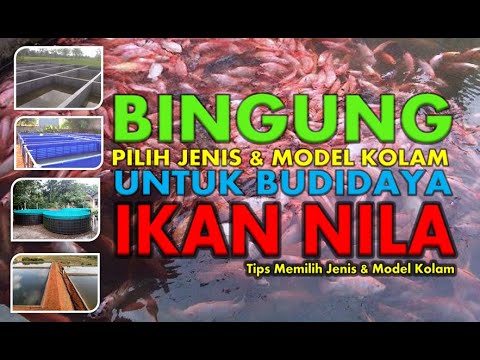 , title : 'Awas Rugi Banyak - Tips Memilih Jenis & Model #Kolam Untuk #Budidaya / Ternak  #Ikan #Nila'