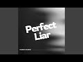 Perfect Liar