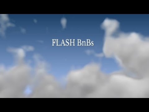 Flash BnBs/OTGs/Restands