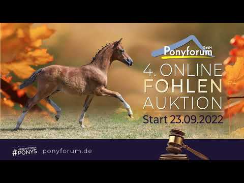 Terbofens Cosmonautin Stute 30.05.2022 v. DSP Cosmo Royale / Quaterback's Junior