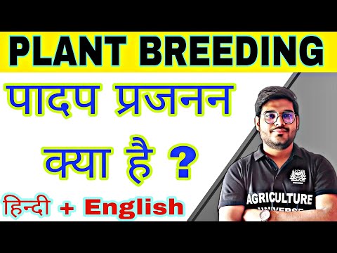 defination allopolyploid allopolyploid kya hai allopolyploid in hindi what is allopolyploid
