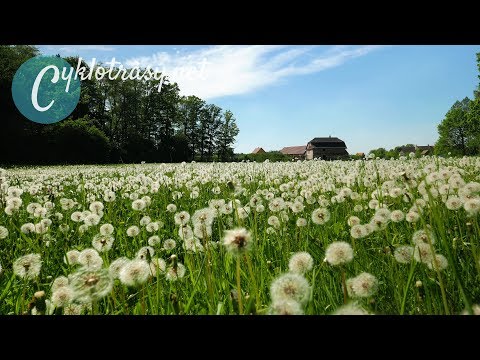 Cycle Trails 026 - Hradec Forest (Arboretum, Open-air Museum and Forest ZOO)