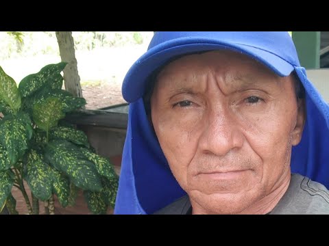 Bal gravações Cuité de Mamanguape está ao vivo!