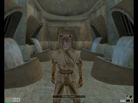 Morrowind [057] Ahnassi, a Special Friend : The Third Wheel