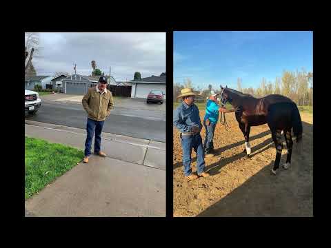 El Corrido de  La Zeta