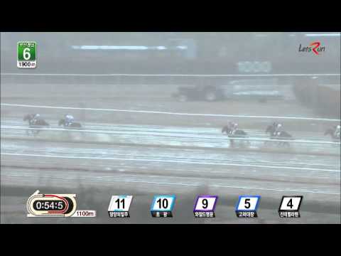 Cinderella Man - Busan Racecourse, April 19, 2015