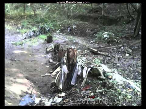 Parcul Valea Popii Mihaesti WWE SongTracks