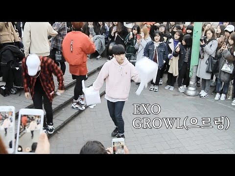 EXO(엑소) "GROWL(으르렁)" Dance Cover by DOB from Korea at Hongdae Seoul