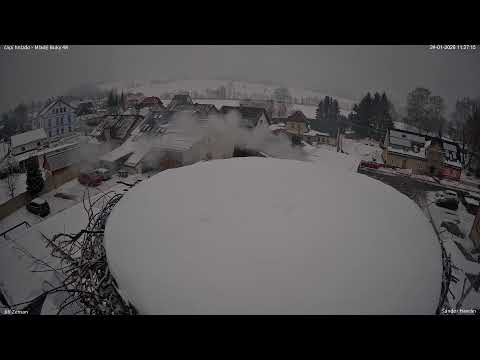 Živá kamera - Mladé Buky - čapí hnízdo 4K