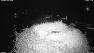 Hradec Králové · Trutnov · Mlade Buky Town Cams live stream
