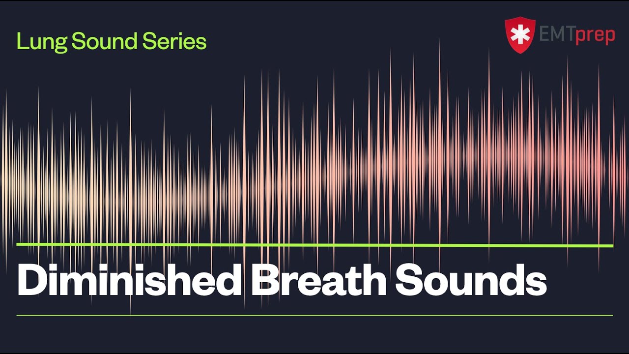 Diminished Breath Sounds - EMTprep.com