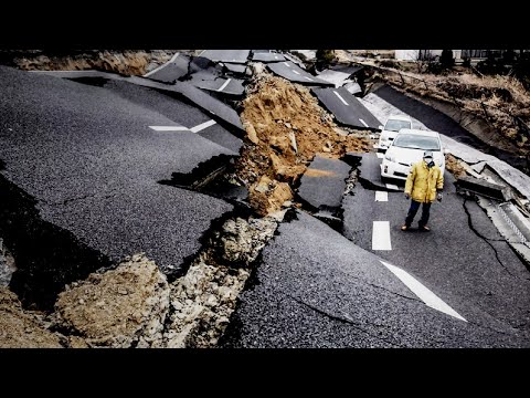 Case study of a supply-chain disruption