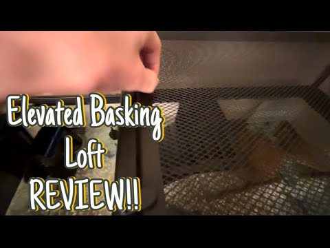 Elevated Basking Loft Review! An update on Nacho