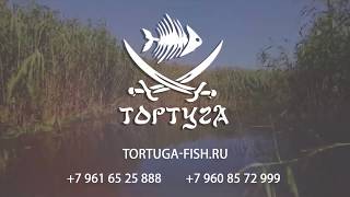 Рыболовная база тортуга астраханская обл лиманский район с вышка