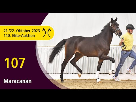 140th Elite-Auction - Oct. 21/22 - No. 107 Maracanán by Maracaná - Rock Springs