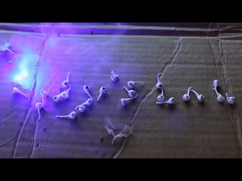 Silver From Bang Snaps