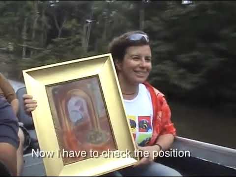 Christina Oiticica - Floresta Amazônica, Amazon Rainforest (2004-2005)