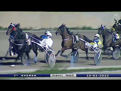 Aversa trotto 15 Gennaio 2022 - 7° Corsa