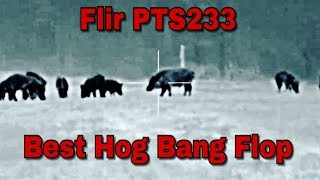Flir PTS233 | BEST HOG BANG FLOP and FLIP