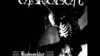 Eisregen Schwarzer Gigolo