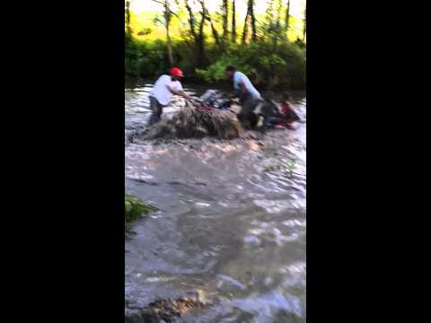 Bayou Boyz - Brute 750 Renegade 1000