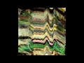 Silver Firs - Motherland 