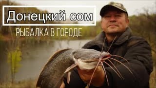 Ссылка
