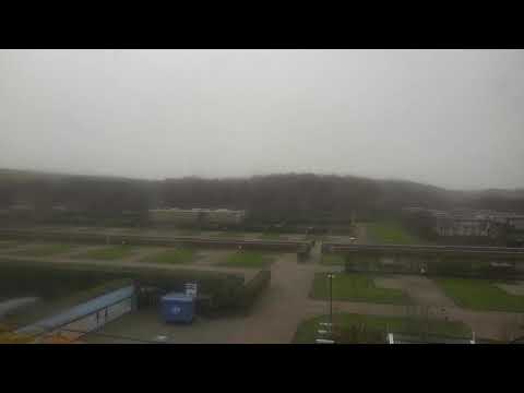 Camping Janse, Zoutelande live webcam