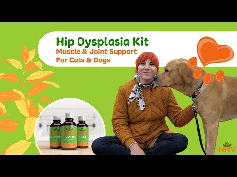 NHV Hip Dysplasia Kit For Cats & Dogs