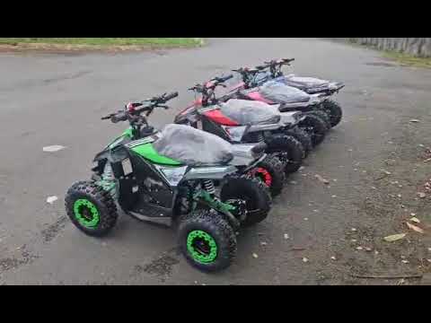 IRELAND Best Selling KIDS 50 CC Quad ALSO Electric - Image 2
