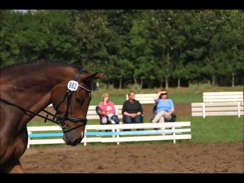 Benita und Oli P.2. Ein unglaublich tolles Team :)