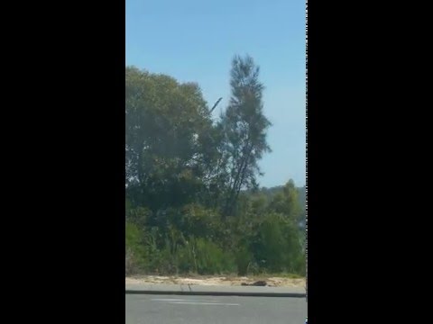 Water bombers filling up for the Wattle Grove fire.