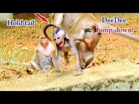 Daniela damage brain by DeeDee dragging | DeeDee jumps down till crush Daniela's head on hard thing