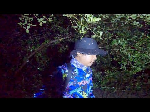 Ep158 Part2 Pangigilaw sa katihan | ang dami nila | Night hunting mud crab.
