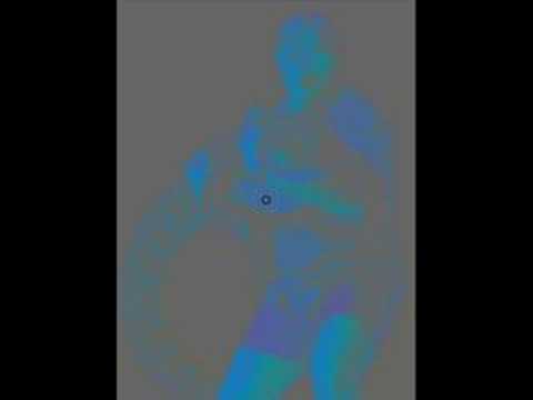 Crocodile Hunter Steve Irwin - Illusion from StareClips.com