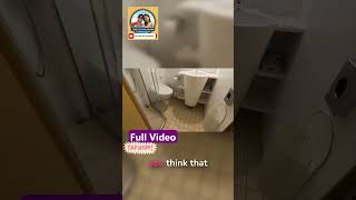 Is This a Suite?! My Honest Cruise Cabin Review! #ambassadorambition #ambassadorcruise #cruisevlog