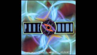 Front Line Assembly -- Evil Playground |Tim Schuldt Remix| (Psytrance Goa 1999)