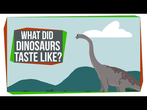 恐龙的口味如何？（What Did Dinosaurs Taste Like?）